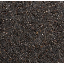 Palm Beach Medicinal Herbs - European Arnica (Arnica Montana) - Packet of 20 Seeds