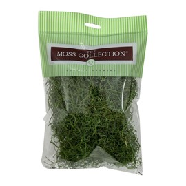 Quality Growers - Preserved Spanish Moss - Decorative Moss - Dried Moss for Crafts, Home Decor, Art, Design & DIY Projects - for Indoor Use - Green Apple - Small Size