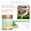 Premium Japanese Matcha Tea Powder from Kagoshima - Unsweetened