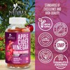 Nature's Nutrition Apple Cider Vinegar Gummies 1000mg for Detox &