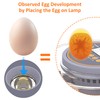 Egg Incubator with Automatic Egg Turning and Humidity Control, Intelligent