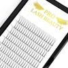 3D-D-0.10 Ready-Made Eyelash Fan 3D, 4D, 5D, 6D Pre-Faned Volume