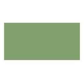 DecoArt Acrylic Paint for Arts and Crafts, Aloe, One Size