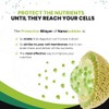 Nanonutrition by Kemed | Calcium + Magnesium + Potassium |