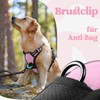rabbitgoo Dog Harness for Small Dogs, Adjustable Dog Harness without