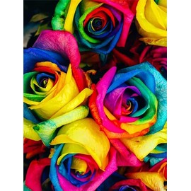 DIY 5D Diamond Painting by Number Kits Colorful Rainbow Rose Paint with Full Drill Round Diamond Art Embroidery Cross Stitch Wall Decoration Festival Gift 12x16 inch