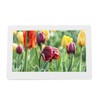 10 Inch Digital Picture Frame HD Intelligent Remote Control Video