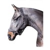 John Whitaker Ready To Ride Headcollar Black: extra full