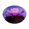 Flower Plant Bright Purple Pink Water Lily Love Gift