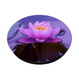 Flower Plant Bright Purple Pink Water Lily Love Gift