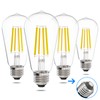 E ENERGETIC LIGHTING ST58/ST18, LED Filament Light Bulbs, 3CCT, 2700K/4000K/5000K,High