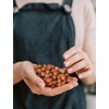 Anna and Sarah Large Oregon Hazelnuts in Shell, 5 Lbs