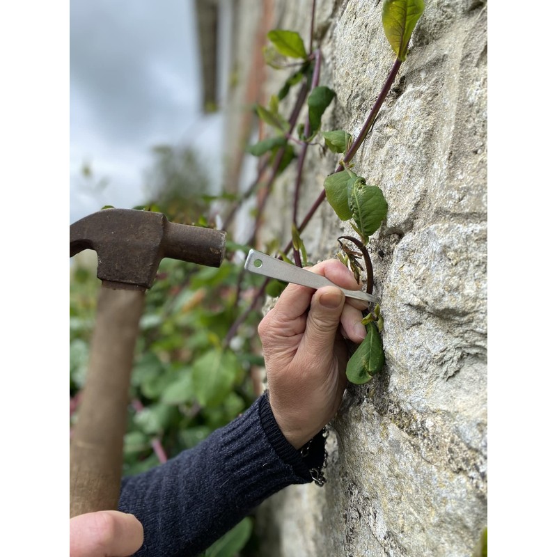 Tildenet 100 mm Vine Eyes