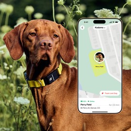 Fi Series 3+ Smart Dog Collar - GPS Dog Tracker and Activity & Fitness Monitor, Waterproof, LED Light, Escape Alerts, Nationwide Coverage [Free 6 Month Membership] (Yellow, Medium)