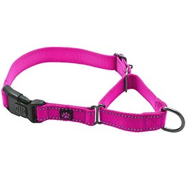Max and Neo Nylon Martingale Collar - We Donate a Collar to a Dog Rescue for Every Collar Sold (Large, Pink)