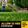 Ortho WeedClear Weed Killer for Lawns with Comfort Wand, Kills