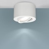 EDO Zalda OV Surface-Mounted Spotlight, White, Round, Extra Flat, Swivelling