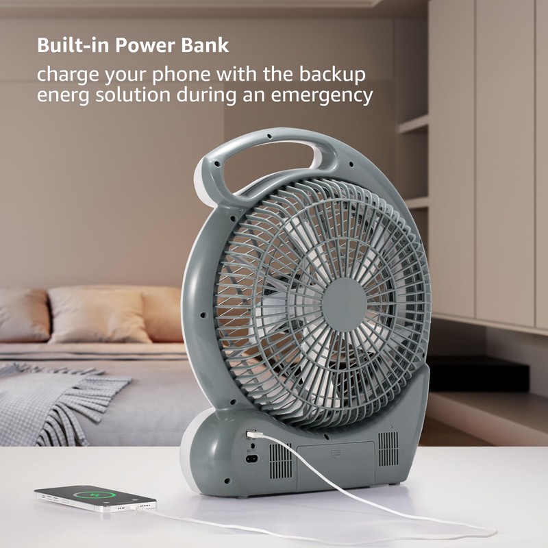 LUDGER 10" Rechargeable Fan with LED and FM Radio (EL-8210F),