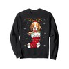 Santa Hat Havanese Puppy Dog In Socks Xmas Tree Lights