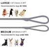 Slip Lead Dog Leash – 5FT, 2 Sizes – Reflective