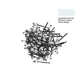 EAGLE 1: Stainless steel Rivets 1/8" x 1/4" (#43) (100, White)