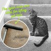 Room Groom Carpet Rake Set (Original and PET) Telescoping 54"
