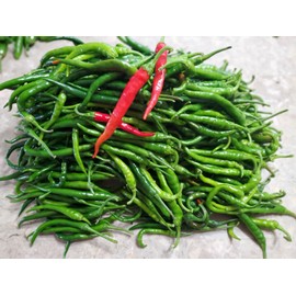 home grown Guntur Sannam HOT Chilli Pepper HEIRLOOM 75+ seeds 100% Organic Grown in USA