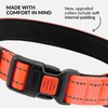 CollarDirect Reflective Dog Collar for Small Medium Large Dog Puppy