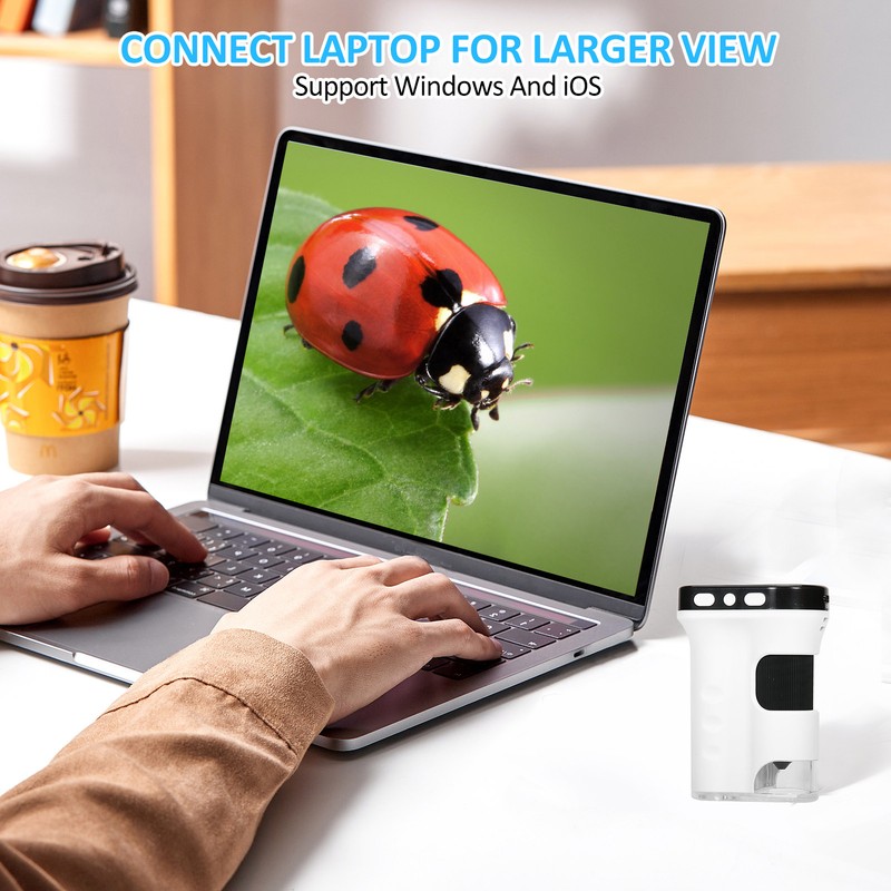 Portable Digital Microscope Rechargeable Pocket Microscope with 2.4-Inch LCD Screen