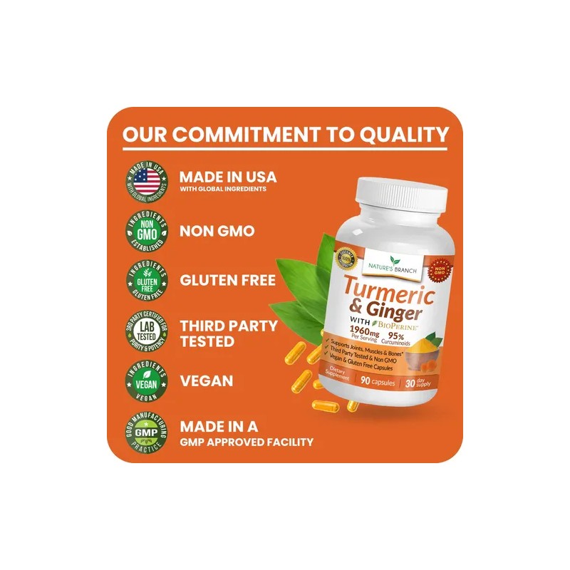 Nature's Branch Suplemento Cúrcuma Jengibre 90 Cápsulas