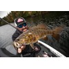 Berkley Powerbait Maxscent Flat Worm Fishing Soft Bait , Black,