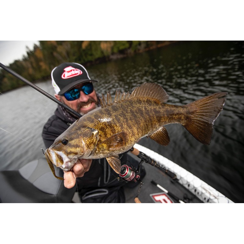 Berkley Powerbait Maxscent Flat Worm Fishing Soft Bait , Black,