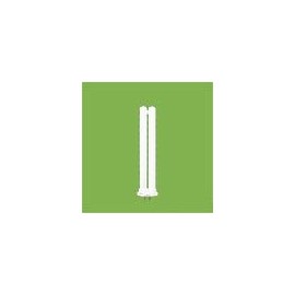 Hitachi FPL13EXD Compact Shape (Paralite), 13 Shape, Daylight