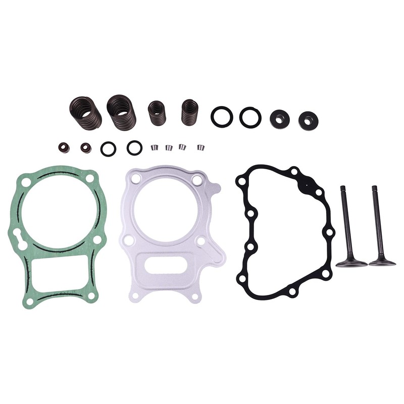 Lesurey Cylinder Head Valve Gasket Kit Compatible with Honda TRX250TM