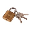 Amtech XXSEL25 25mm Padlock