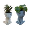 Tianbi Head Planter Pot,Luminous Face Planter Pot, Cactus Planter,Cute Resin
