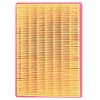 Road Passion AP8104329 Air Filter Replacement for CAN-AM Spyder 1000