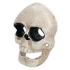 Skull Bottle Opener Cast Iron Gift Garage Door Shed Man