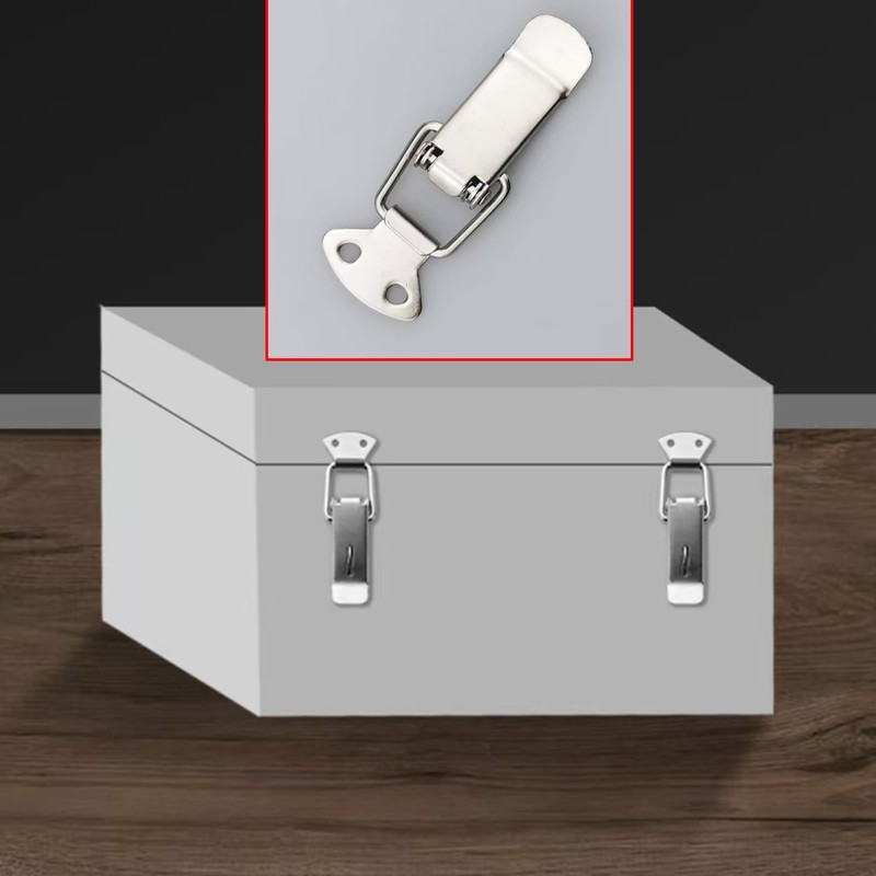 20PCS Stainless Steel Locking Buckle Latches, Toolbox Box Buckle Hasp