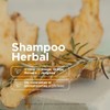 PACALLI Shampoo de Romero 2x410ml Rosemary Shampoo with Ginger Nettle