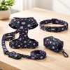 Kit Arnes Pechera Correa Collar Perros Ajustable
