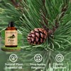 Wuvezrub Pine Essential Oils 120ML, Pure Pine Essential Oil for