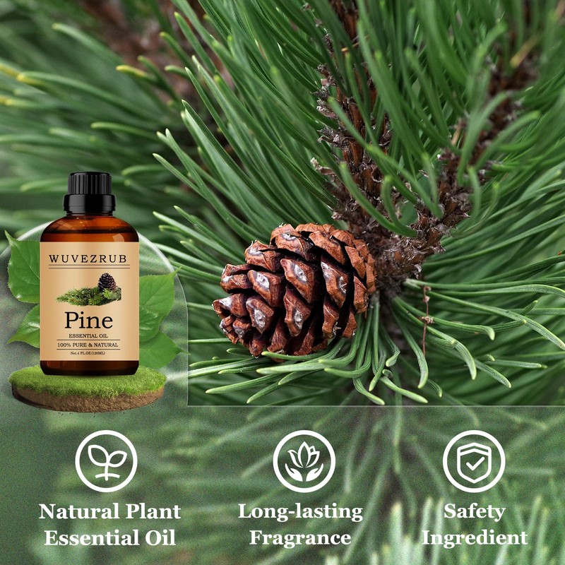 Wuvezrub Pine Essential Oils 120ML, Pure Pine Essential Oil for