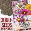 Seed Needs Flower Seeds Cosmos Crazy Blend No Filler 10+