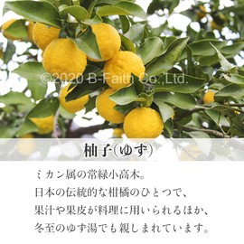 Natural 100% Yuzu Oil, 1.0 fl oz (30 ml), Aroma Oil, Yuzu Essential Oil, Yuzu Oil