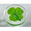Real Four Leaf Clover "Good Luck Pocket Token" Traditional Lucky