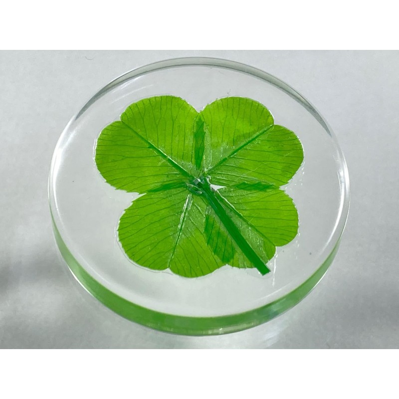 Real Four Leaf Clover "Good Luck Pocket Token" Traditional Lucky