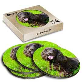 4 x Round Coasters - Irish Water Spaniel Dog Breed Puppy Cork Backed MDF Glossy Tea Coffee Accessory #51234