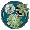 W&W Ceramic Plant Saucer - Plant Trays for Indoor Pots