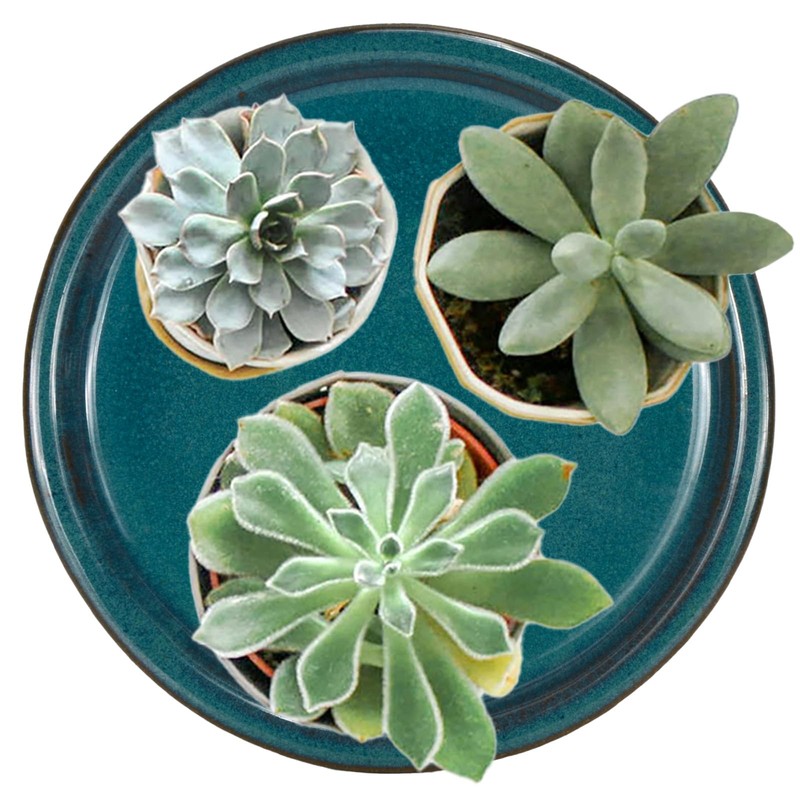 W&W Ceramic Plant Saucer - Plant Trays for Indoor Pots